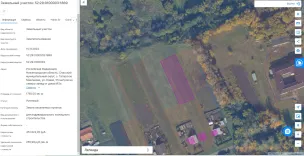 Аукцион на право заключения договора аренды земельного участка, находящегося в государственной собственности до разграничения (кадастровый № 52:29:0100003:1869, Российская Федерация, Нижегородская область, Спасский муниципальный округ, с. Татарское Маклаково, ул. Новая, 55 метров на северо-запад от дома №2а )'